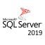 microsoft sql server 2019